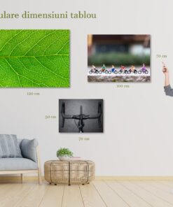 Tablou canvas harta lumii - design cartografic decorativ pentru acasa