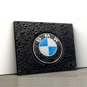1 tablou canvas logo BMW pe ploaie