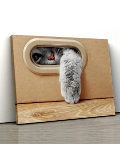 Tablou canvas Animale - Pisica in cutie