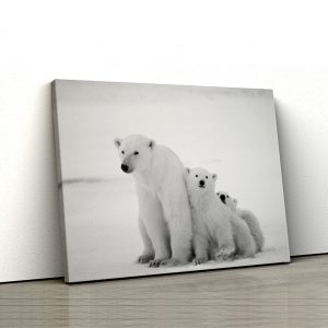 Tablou canvas Animale - Ursi polari