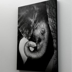 1 tablou canvas Baby elefant