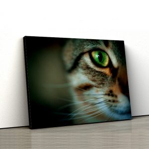 1 tablou canvas Cat eye