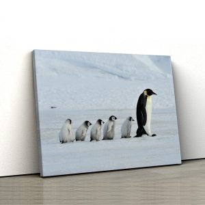 1 tablou canvas Famile de pinguini