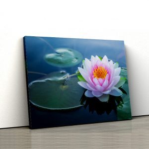1 tablou canvas Tablou canvas Floral Floare de lotus pe apa