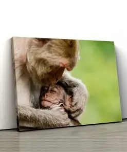 1 tablou canvas Baby maimuta